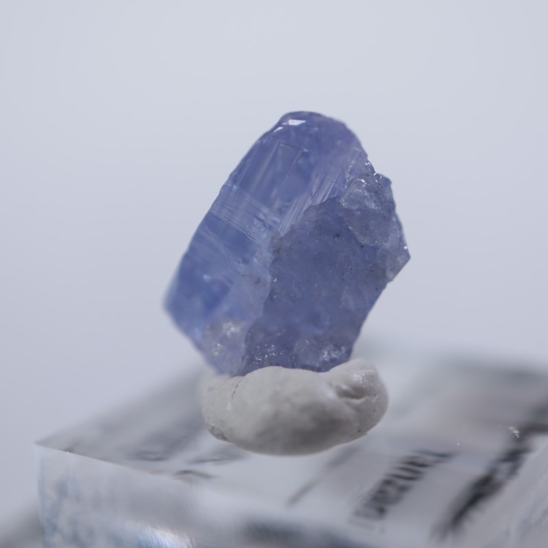 ���󥶥˥��������󥶥ʥ���