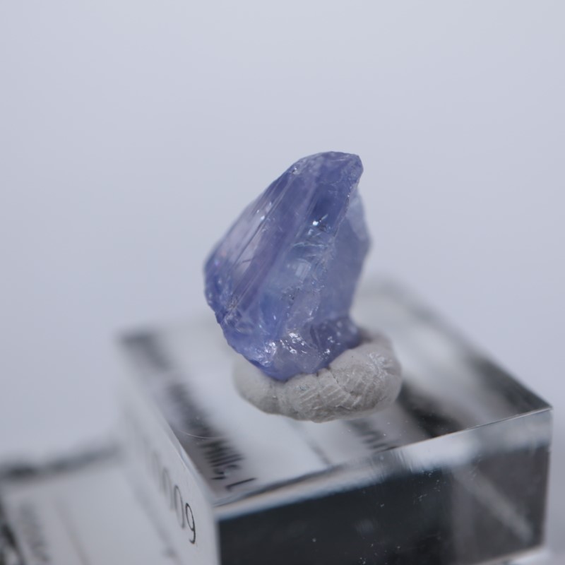 ���󥶥˥��������󥶥ʥ���