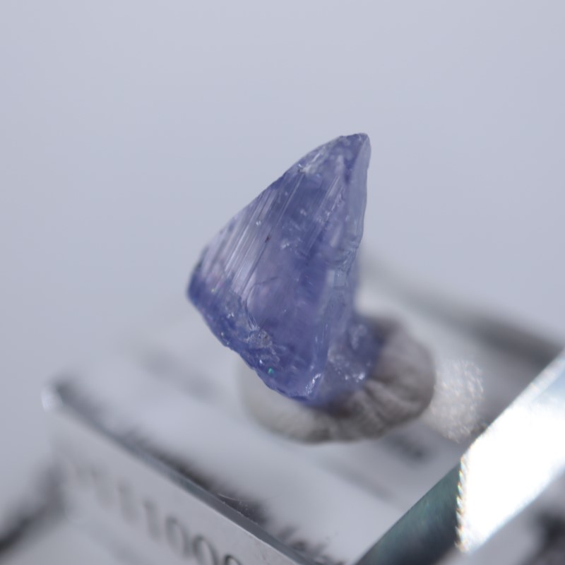 ���󥶥˥��������󥶥ʥ���