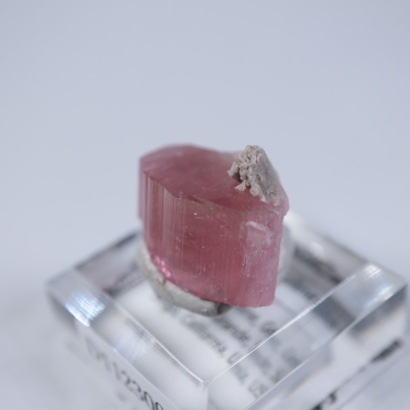 ヒマラヤ鉱山 トルマリン | 鉱物標本,タ行,トルマリン/電気石 | ほたる