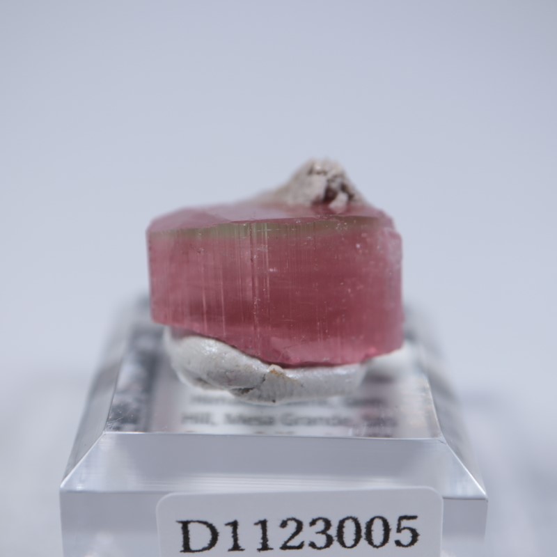 ヒマラヤ鉱山 トルマリン | 鉱物標本,タ行,トルマリン/電気石 | ほたる