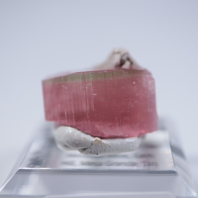 �ҥޥ��ۻ����ȥ�ޥ��