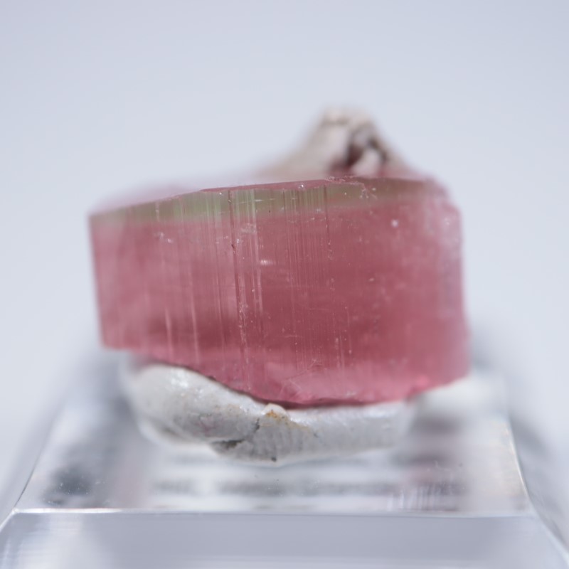 �ҥޥ��ۻ����ȥ�ޥ��