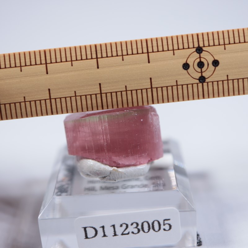 �ҥޥ��ۻ����ȥ�ޥ��