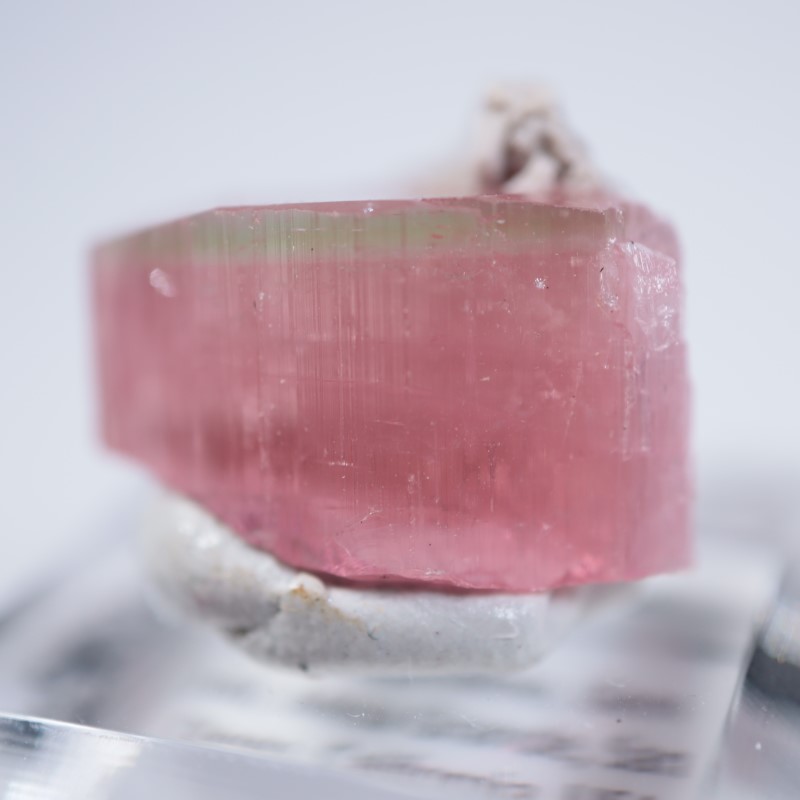 �ҥޥ��ۻ����ȥ�ޥ��