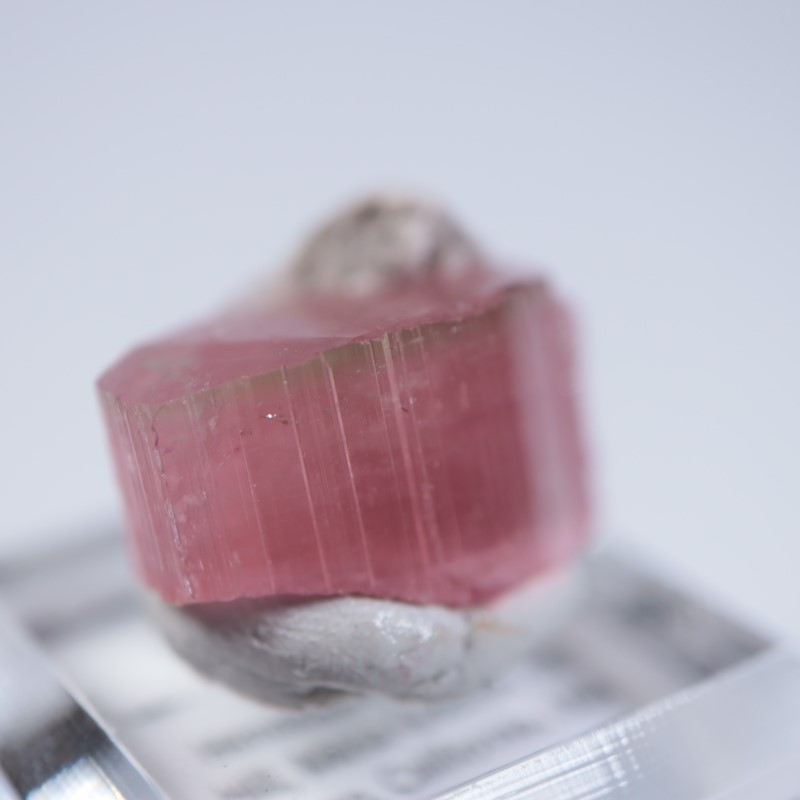 �ҥޥ��ۻ����ȥ�ޥ��