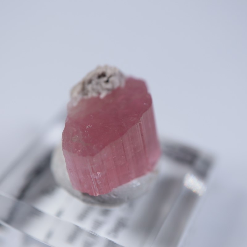 カリフォルニア州ヒマラヤ鉱山のトライカラートルマリン結晶