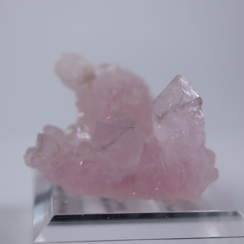 �֥饸�뻺����������������