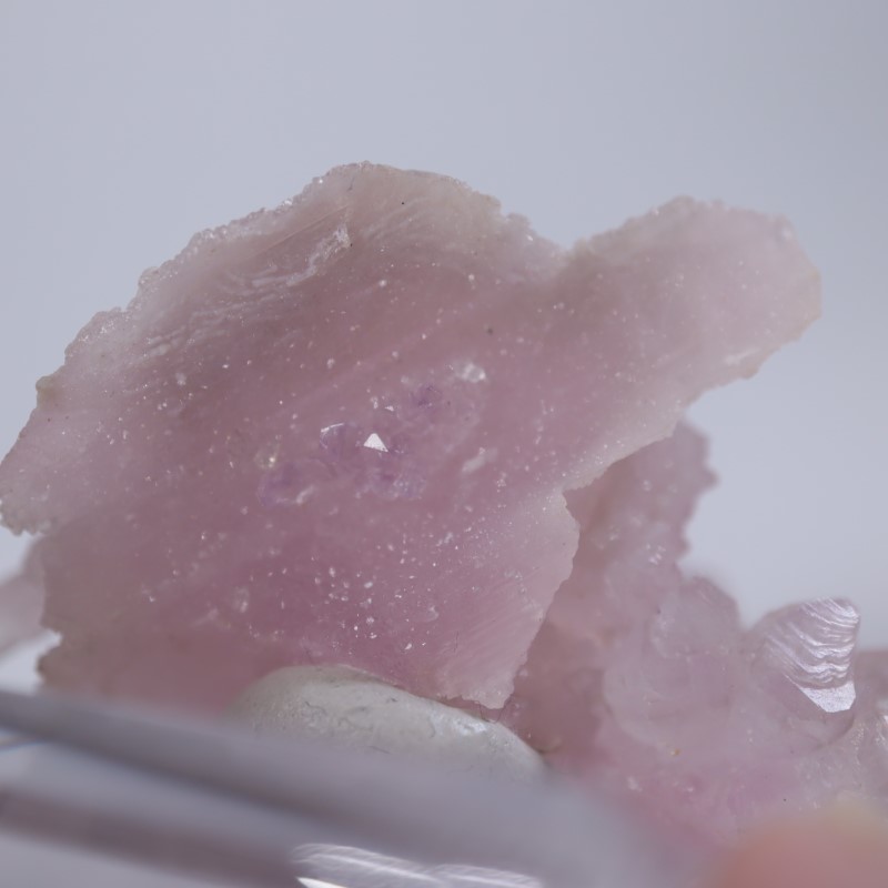 �֥饸�뻺����������������