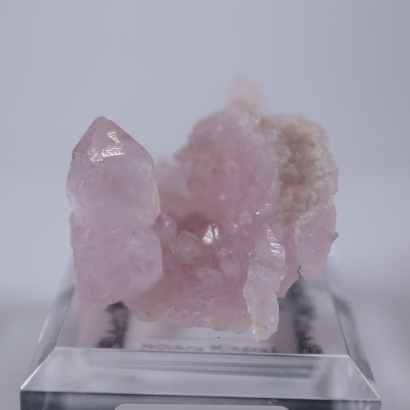 �֥饸�뻺����������������