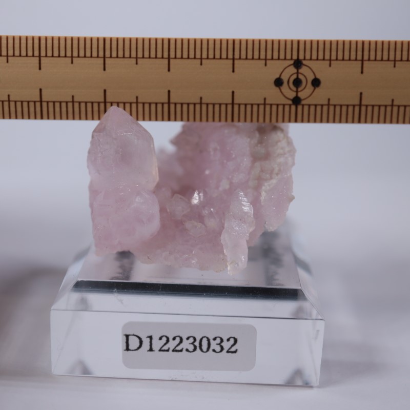 �֥饸�뻺����������������