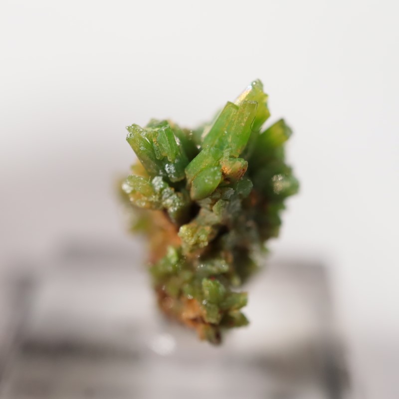 中国産 パイロモルファイト | 鉱物標本,ハ行,パイロモルファイト/緑鉛