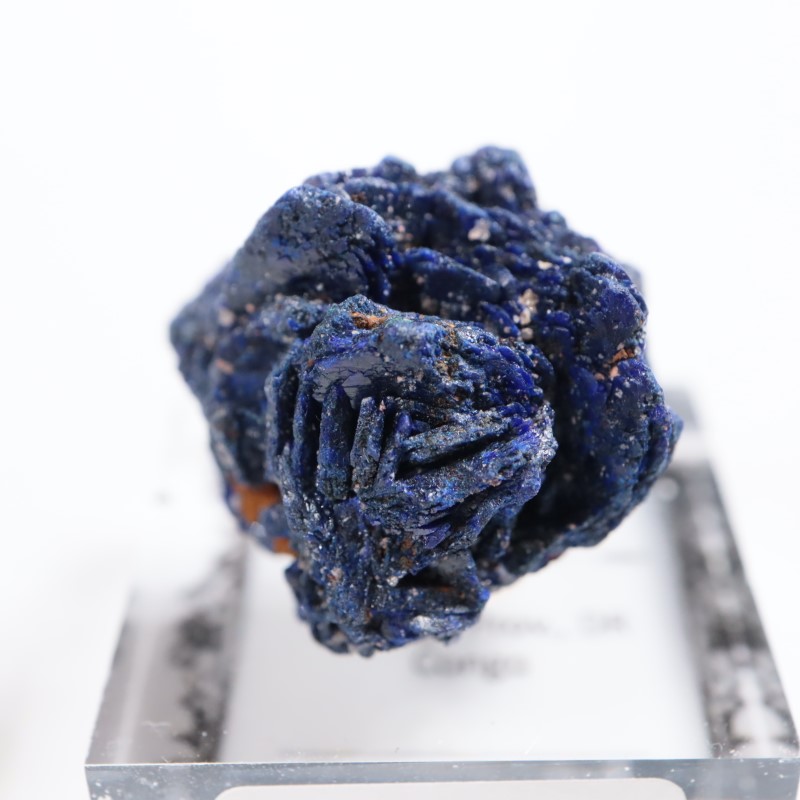 ���󥴻��������饤�ȥ�����