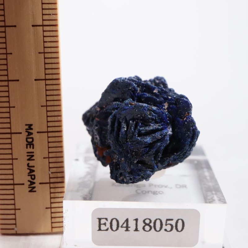 ���󥴻��������饤�ȥ�����