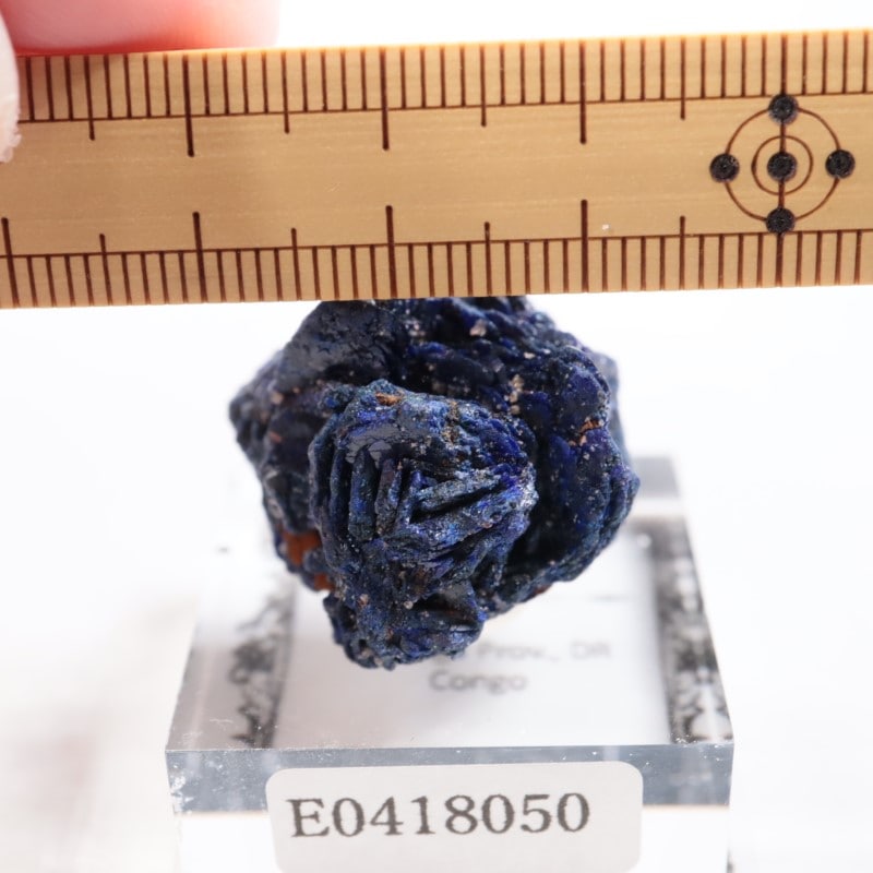 ���󥴻��������饤�ȥ�����