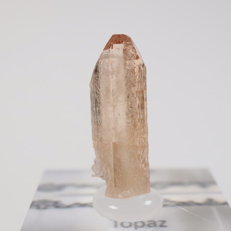 �楿���� �ȥѡ���