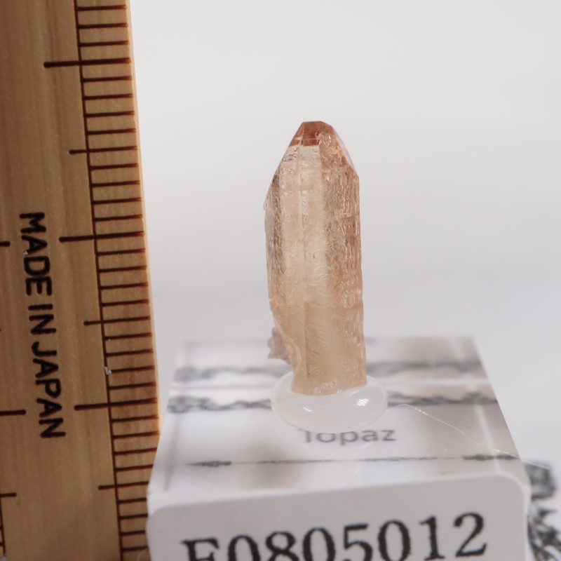 �楿���� �ȥѡ���