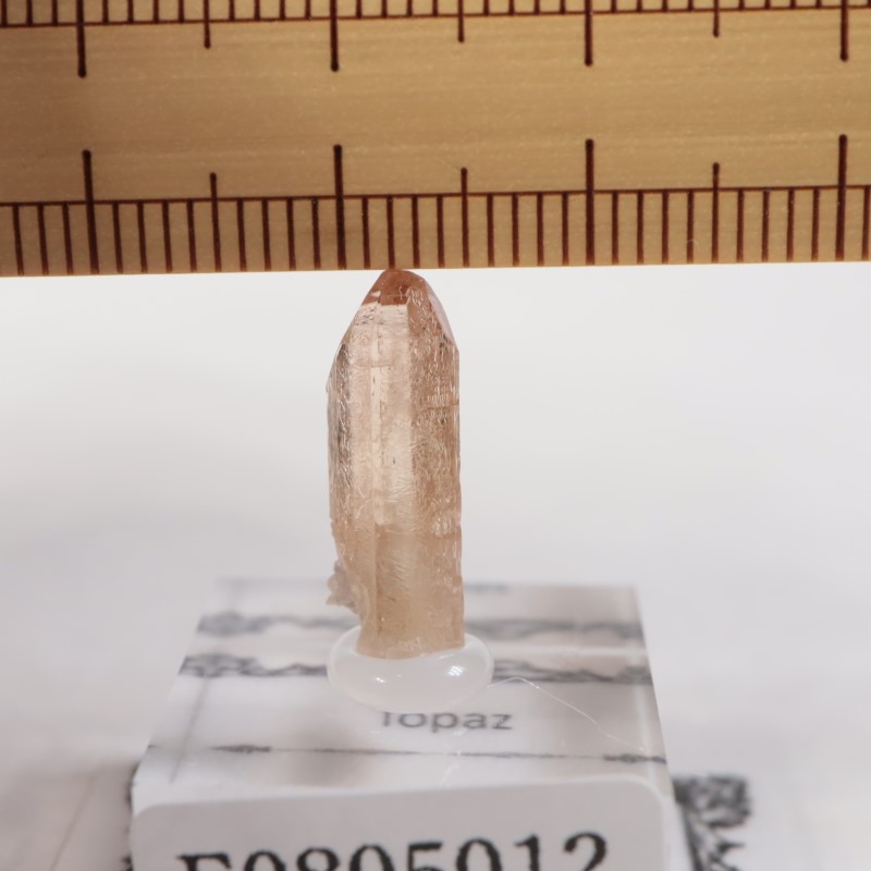 �楿���� �ȥѡ���