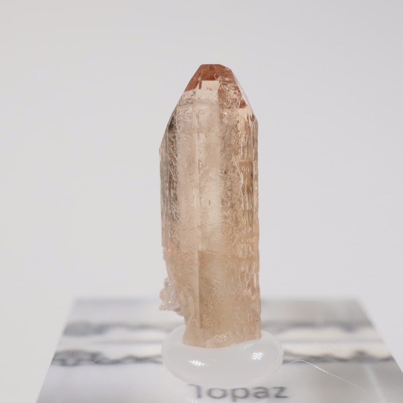 �楿���� �ȥѡ���