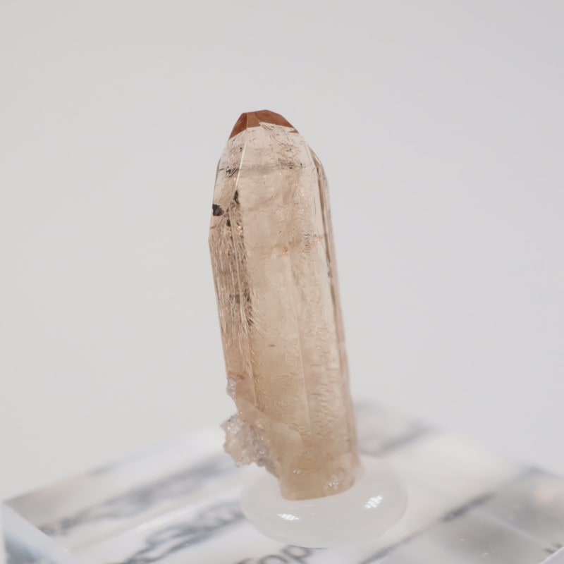 �楿���� �ȥѡ���