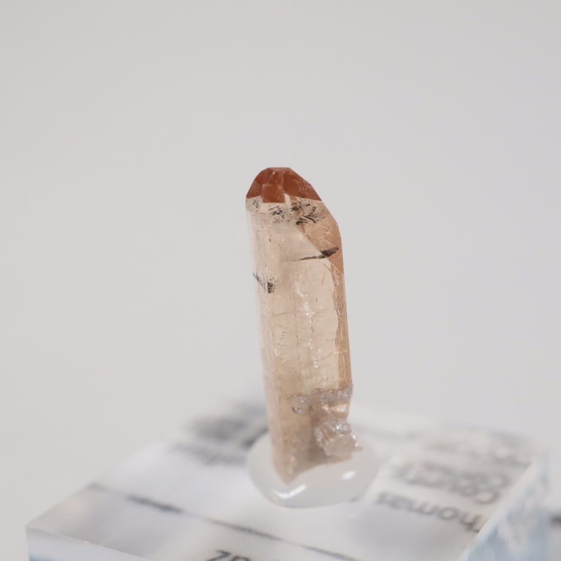 �楿���� �ȥѡ���