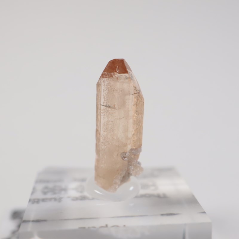 �楿���� �ȥѡ���