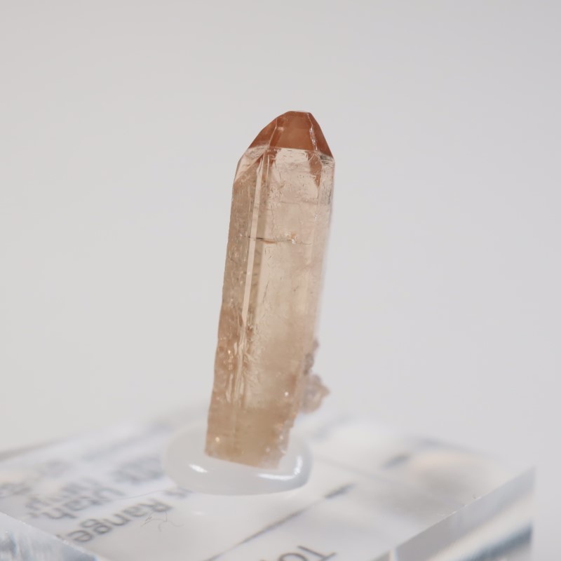 �楿���� �ȥѡ���