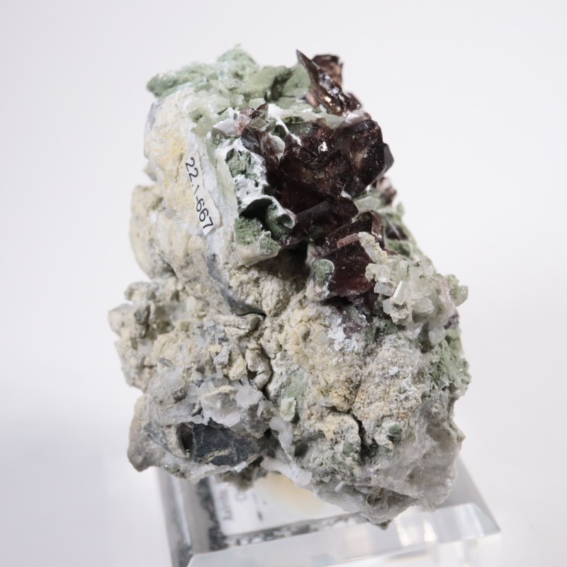 �������� �������ʥ��ȡ������С���ť��