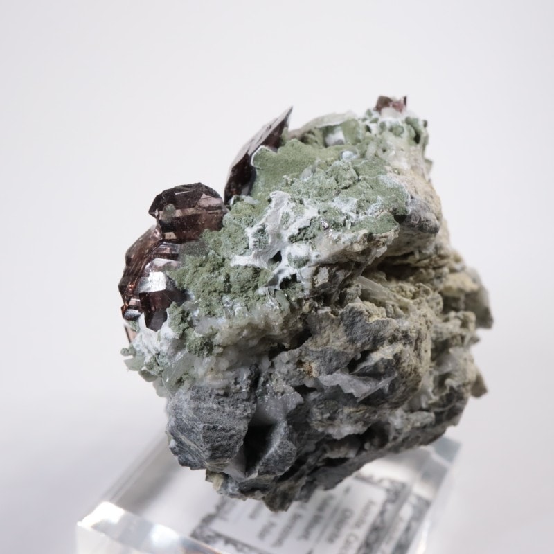 �������� �������ʥ��ȡ������С���ť��