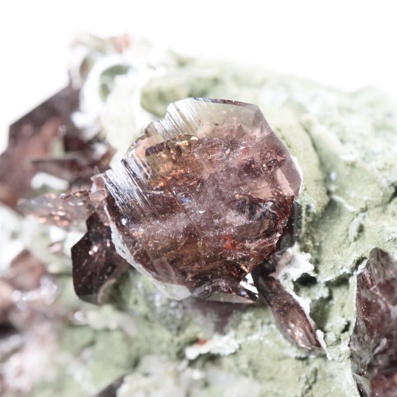 �������� �������ʥ��ȡ������С���ť��