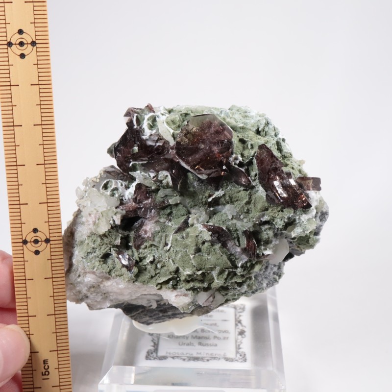 モンゴル 緑石 E13364】透緑閃石 Actinolite 角閃石 陽起石 柱状結晶 クリスタル