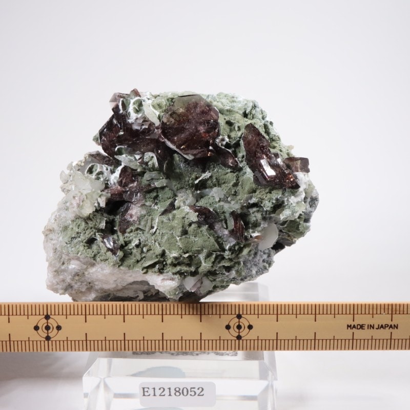 �������� �������ʥ��ȡ������С���ť��