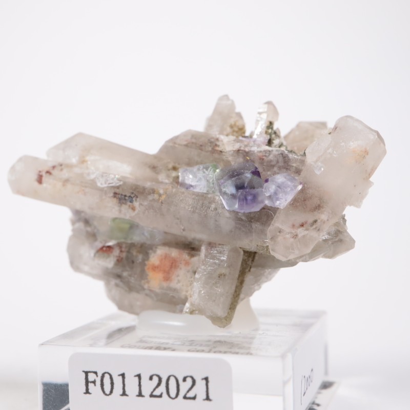 Green Monster Pocket �ե����饤��