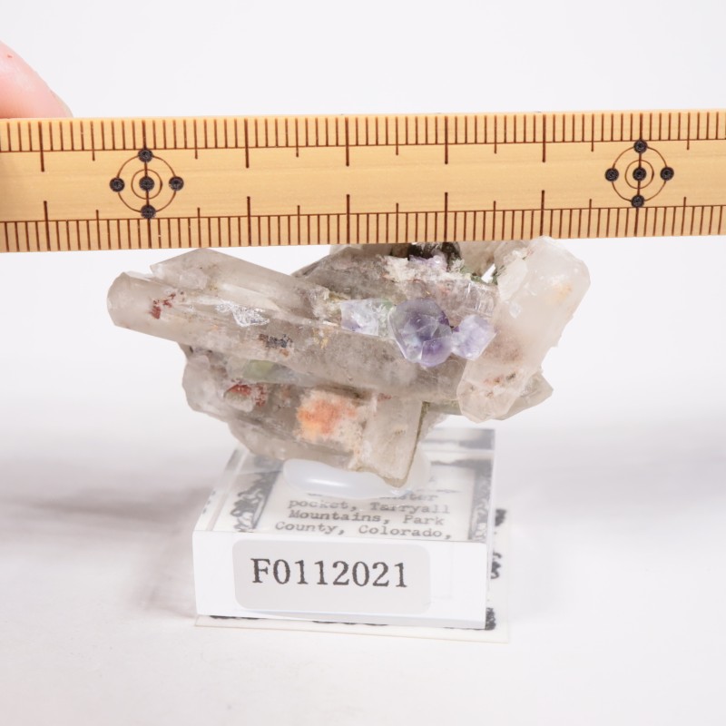 Green Monster Pocket �ե����饤��