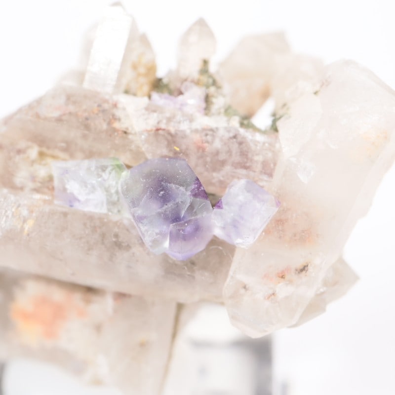 Green Monster Pocket �ե����饤��