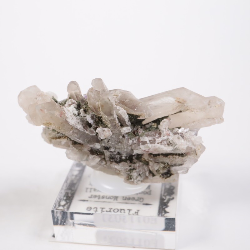 Green Monster Pocket �ե����饤��