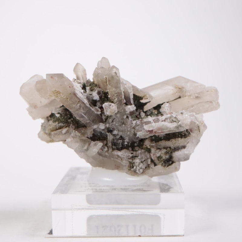 Green Monster Pocket �ե����饤��