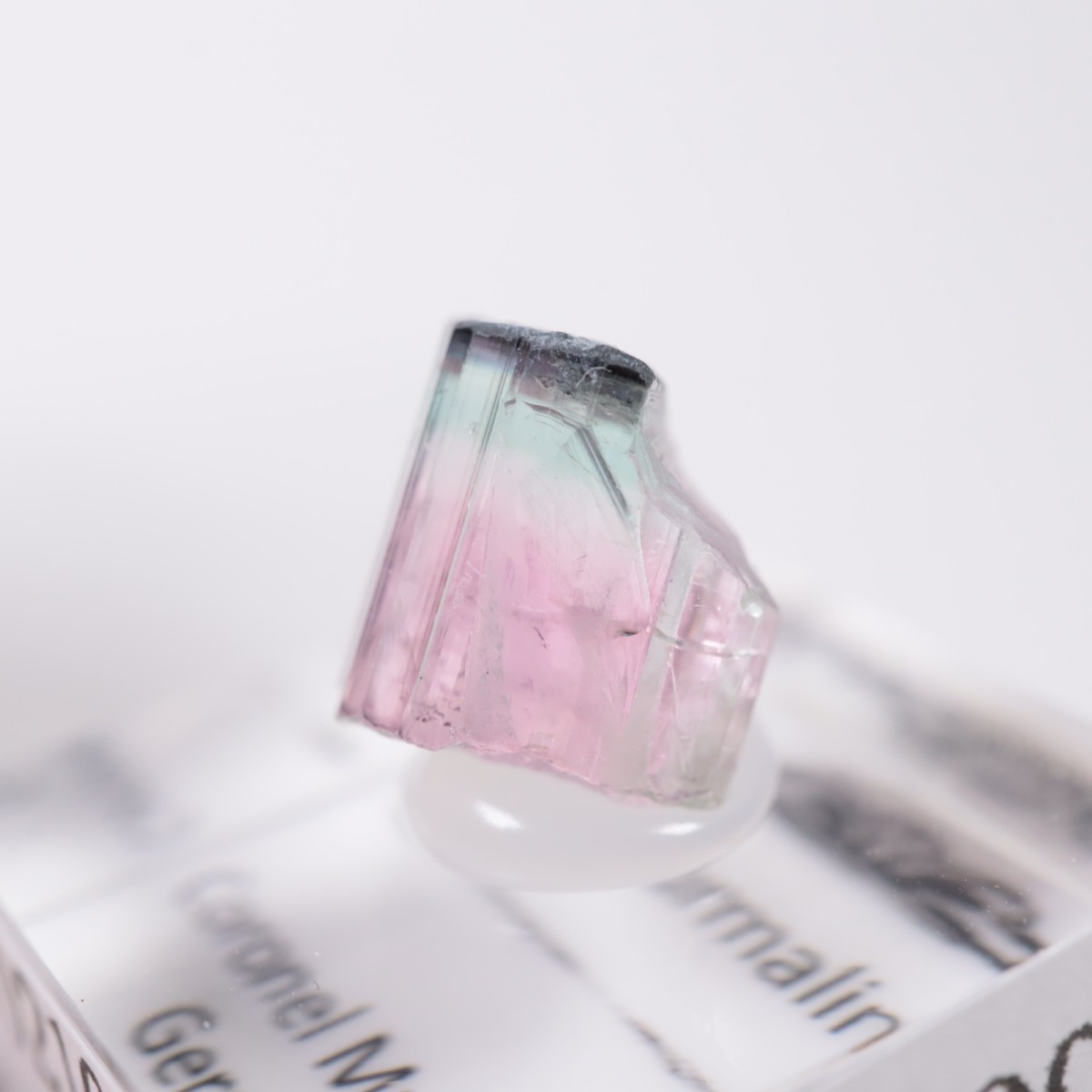 Coronel Murta�� �ȥ�ޥ��