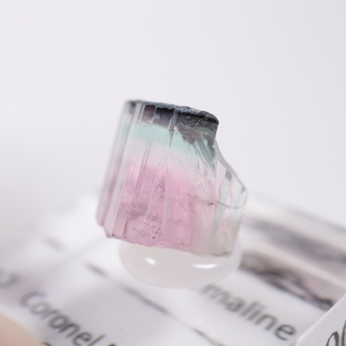 Coronel Murta�� �ȥ�ޥ��