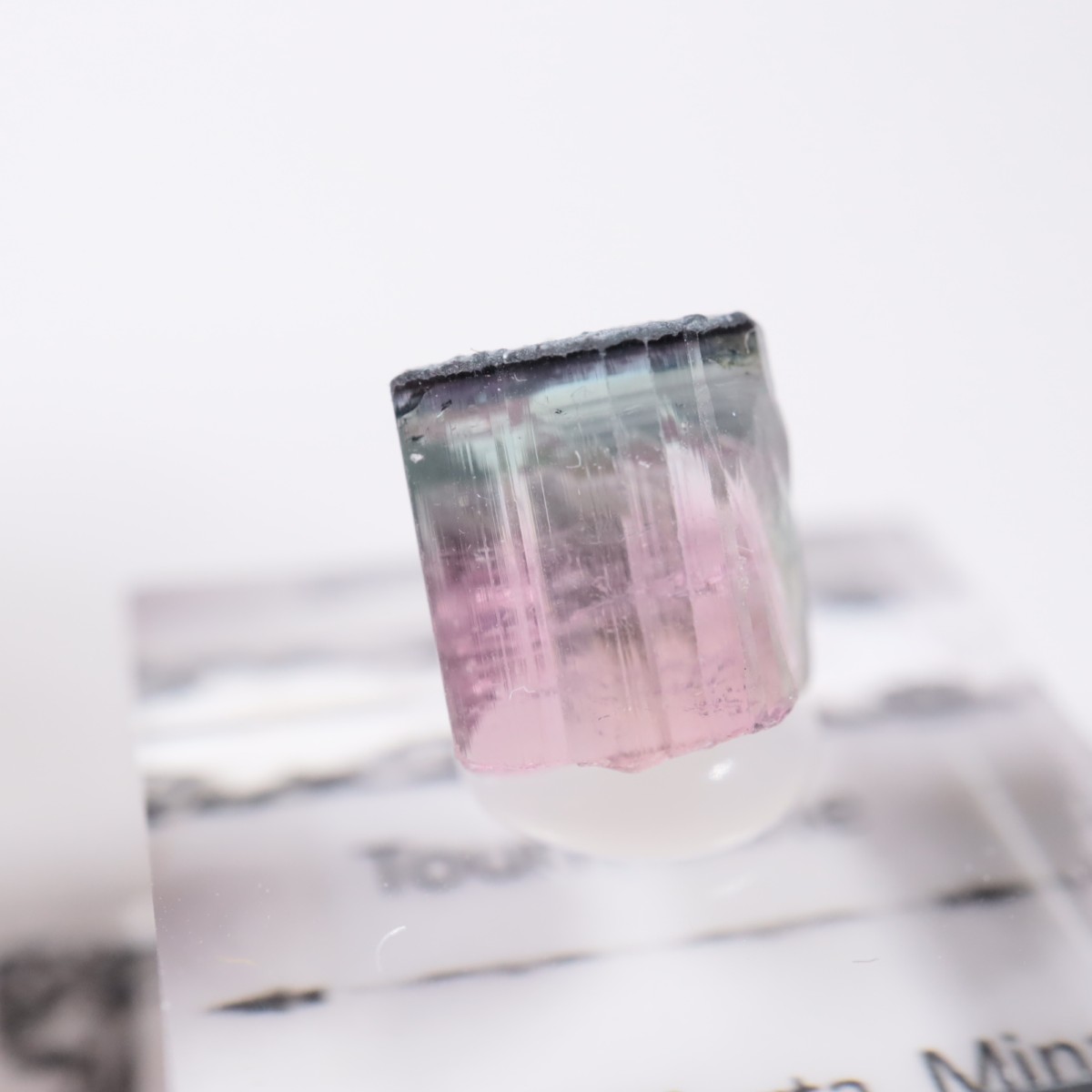 Coronel Murta�� �ȥ�ޥ��