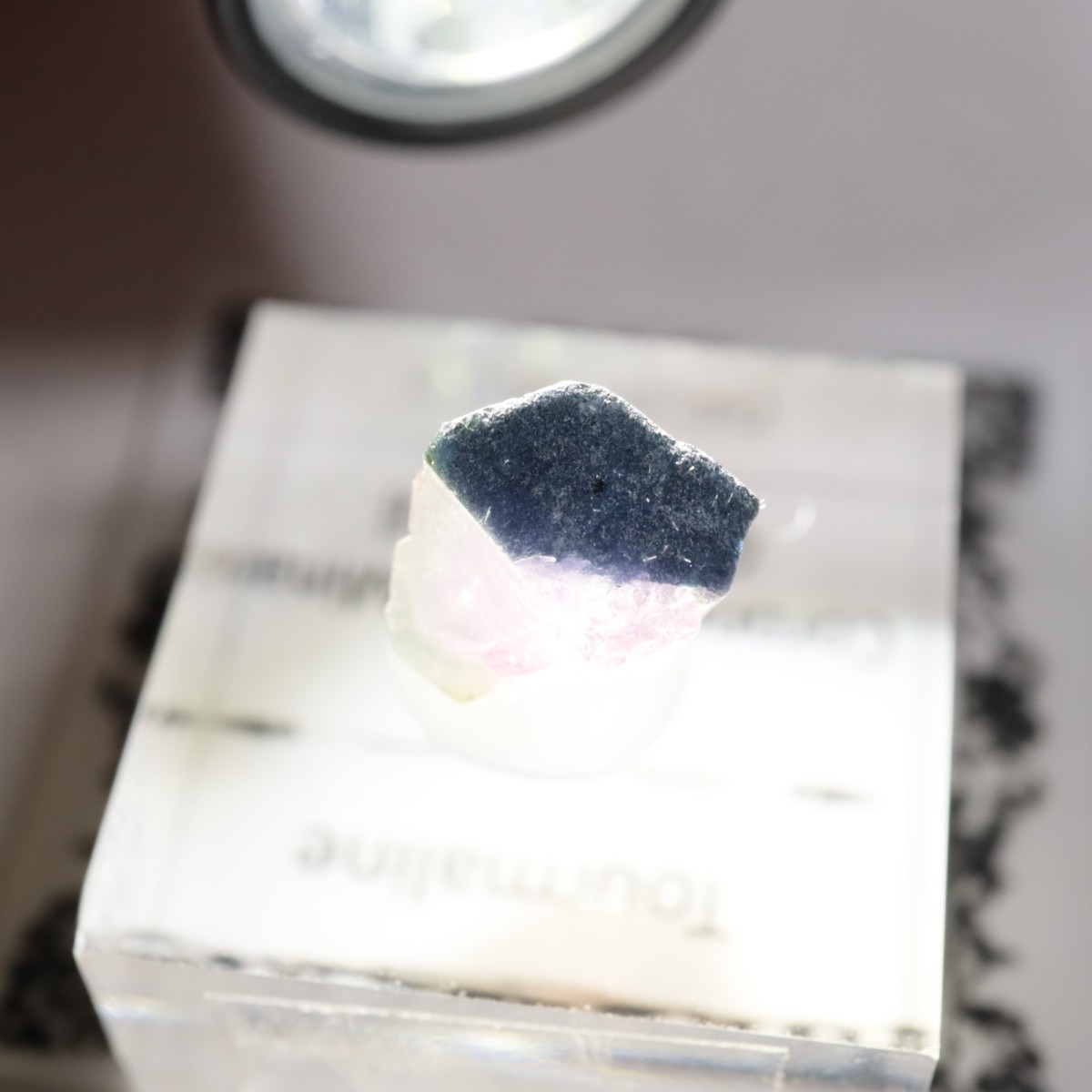 Coronel Murta�� �ȥ�ޥ��