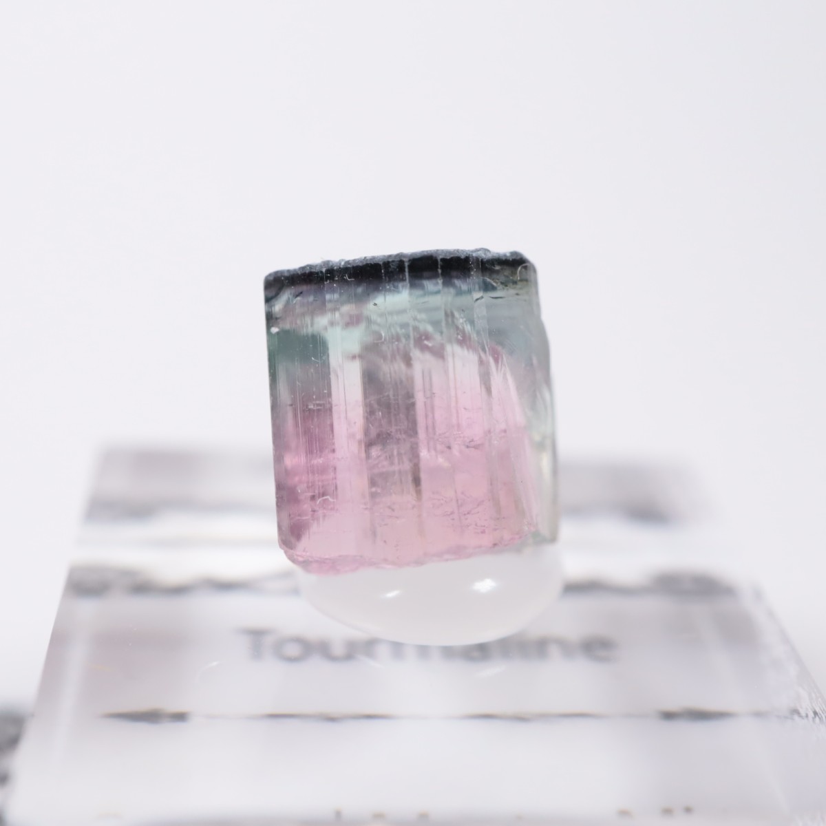 Coronel Murta�� �ȥ�ޥ��