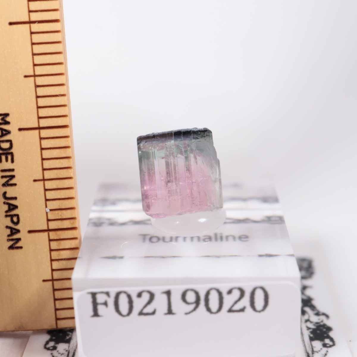 Coronel Murta�� �ȥ�ޥ��