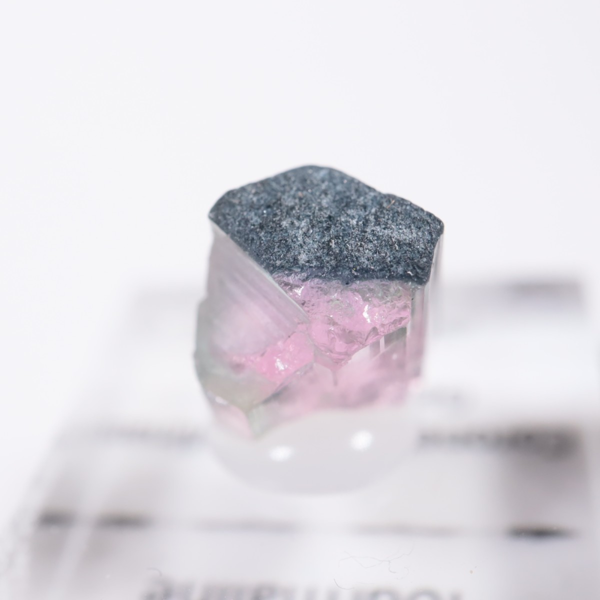 Coronel Murta�� �ȥ�ޥ��