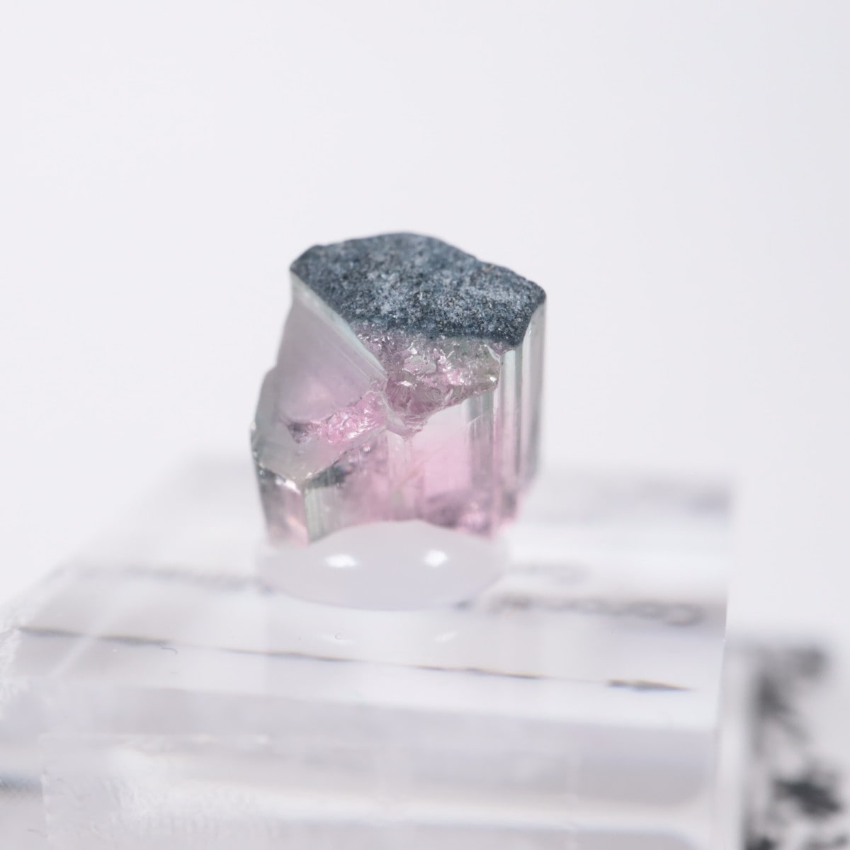 Coronel Murta�� �ȥ�ޥ��