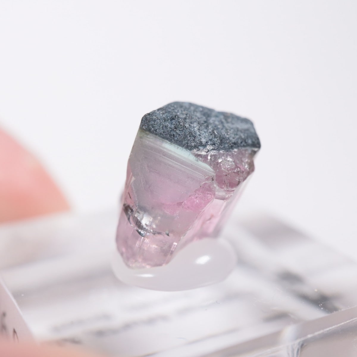 Coronel Murta�� �ȥ�ޥ��