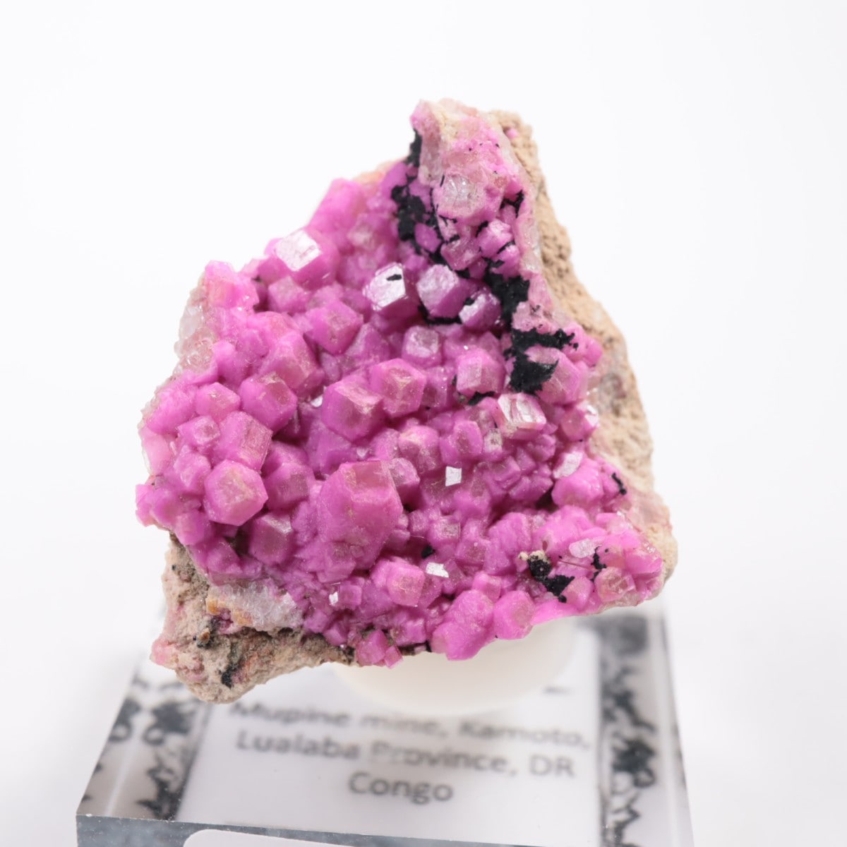 コンゴ産 コバルトカルサイト | 鉱物標本,カ行,カルサイト