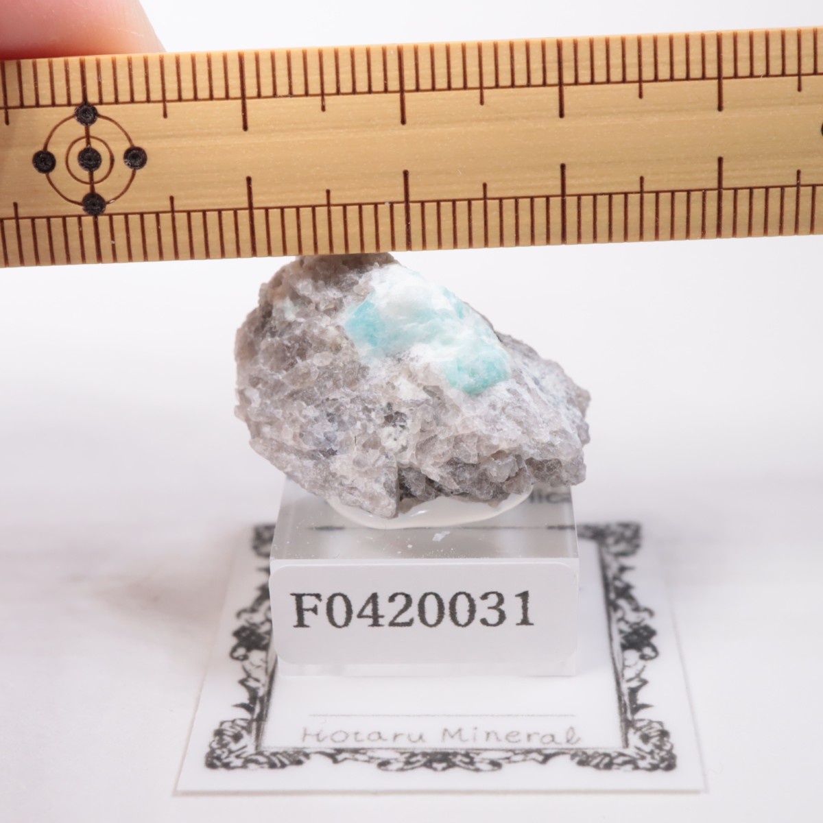 �ޥ��������뻺 ���ޥ��ʥ���