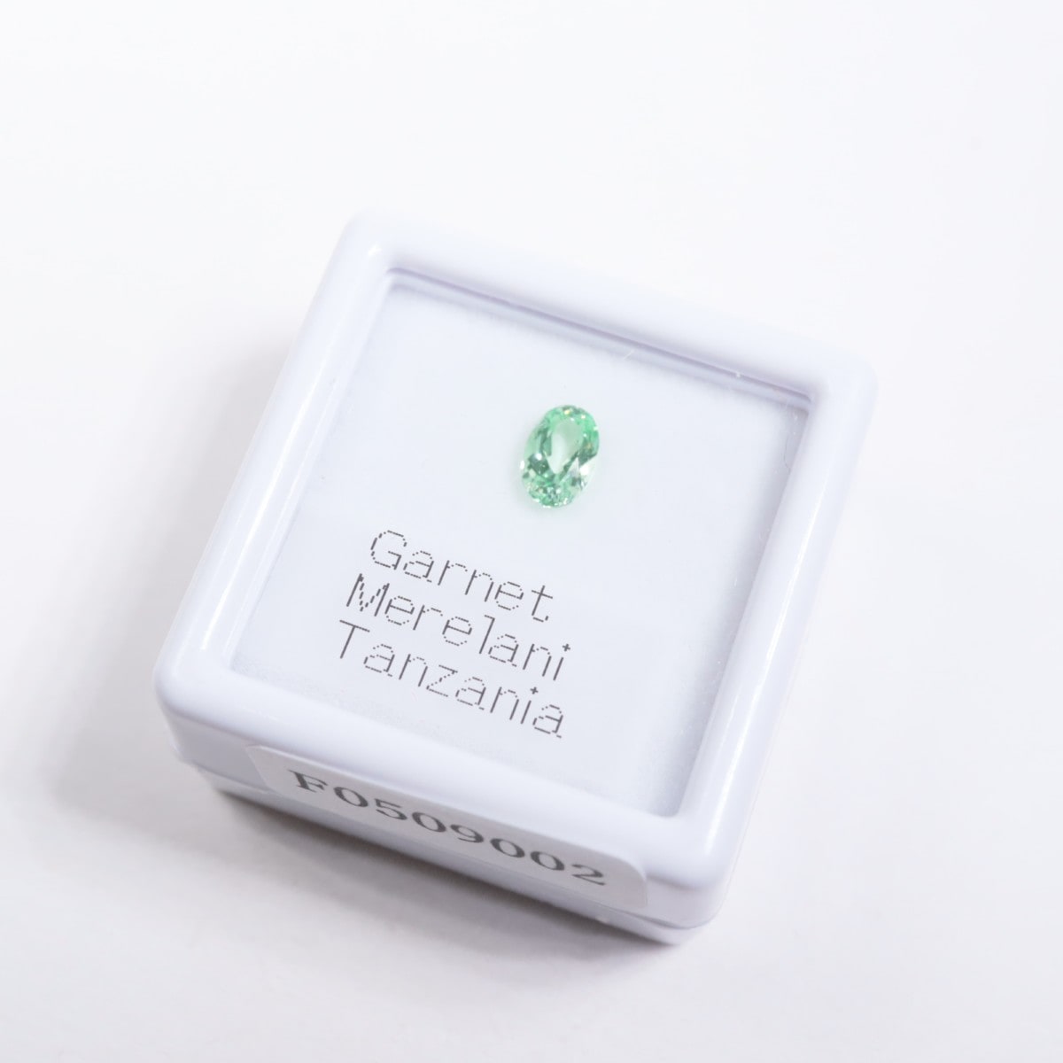 ���󥶥˥��� �����ͥå�