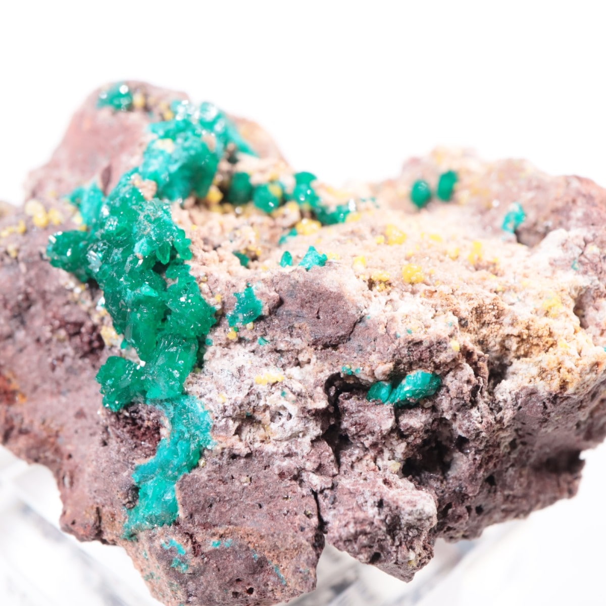 ���󥴻� �������ץơ���